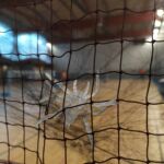 Pas de faute de au filet !