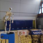 Le juge arbitre ?